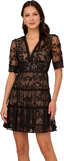 Adrianna Papell Women's Lace Embroidery Dress