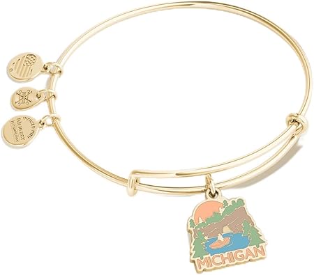 Alex and Ani Michigan Charm Bangle Bracelet