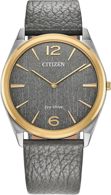 Citizen Unisex Eco-Drive Classic Eco, Two-Tone Stainless Steel Watch, Gray Leather Strap, 2 Hand (Model: AR3124-07H)