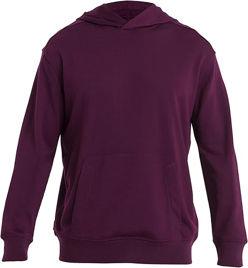 Icebreaker Merino Men's Shifter Long Sleeve Hoodie Sweatshirt