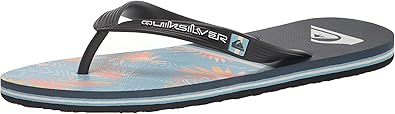 Quiksilver Men's Molokai Division Sandal Flip-Flop