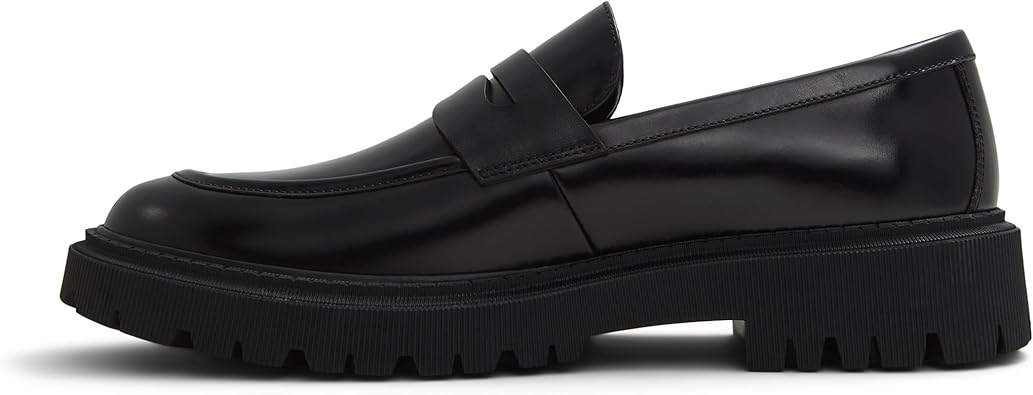 ALDO Men's Exeter Loafer