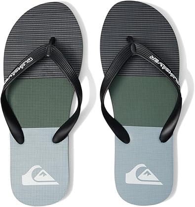 Quiksilver Men's Molokai Stripe 3 Point Flip Flop Sandal