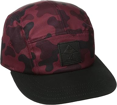 LRG Men's Babypandacamo5Panel Hat