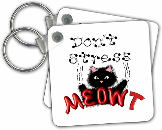 3dRose Funny Fuzzy Black Cat - Don't Stress Meowt - Key Chains, 2.25