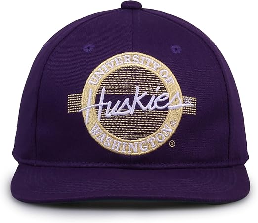 The Game One Size Fits Most Retro Circle Design Hat, Purple