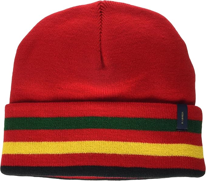 Pendleton Men's National Park Stripe Beanie, Rainier, One Size