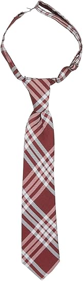 Little Boys' Jackon Necktie - Maroon Plaid