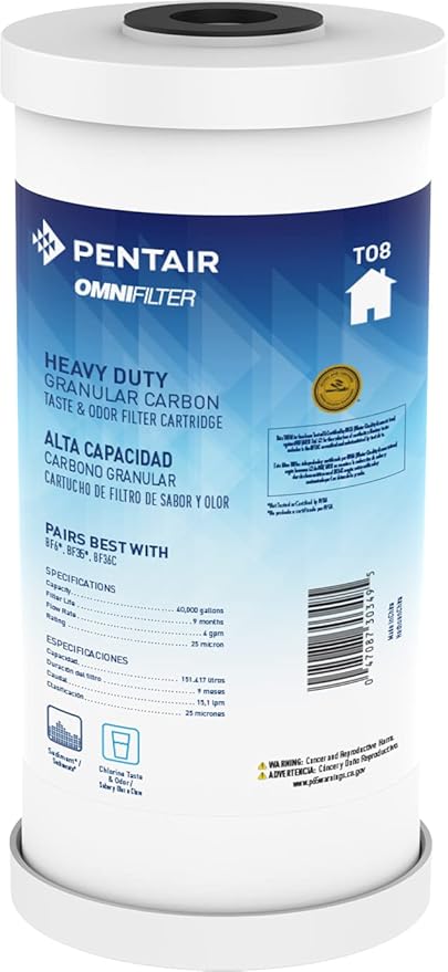 Pentair OMNIFilter TO8 Carbon Water Filter, 10