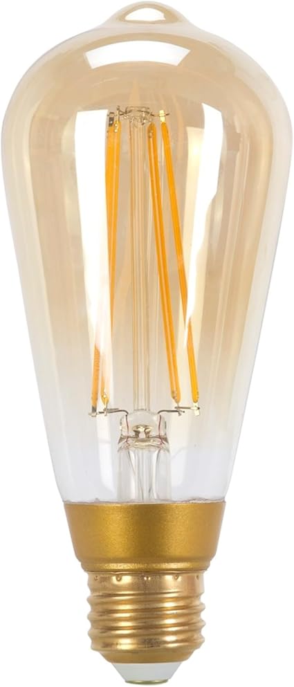 Globe Electric 60W Equivalent Soft White (2000K) Vintage Edison Dimmable LED Light Bulb, E26 Base, 650 Lumens, Amber Glass,73193