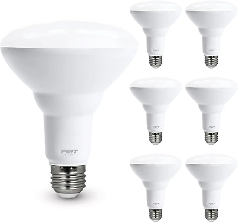 Feit Electric LED BR30 Light Bulbs, 65W Equivalent, Dimmable, 10 Year Life, 650 Lumens, 5000k Daylight, E26 Base Recessed Can Light Bulbs, Flood Light Bulbs, Damp Rated, 6 Pack, BR30DM/850/10KLED/6