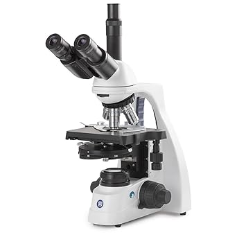 bScope Trinocular Compound Microscope, HWF 10x/20mm Eyepieces and Quintuple Nosepiece with Plan Phase PLPHI 10/20/S40/S100x Oil Infinity Corrected Objectives Globe Scientific | Euromex