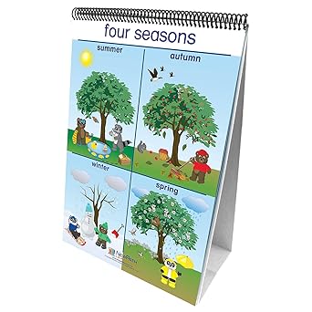 NewPath Learning-34-0024 Weather and Sky Curriculum Mastery Flip Chart Set, Early Childhood