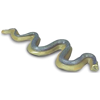 3B Scientific VN721 Grass Snake (Natrix natrix)