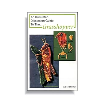 Ranaco W4R5303 Dissection Guide Grasshper,Grade: 1 to 12, 0.12