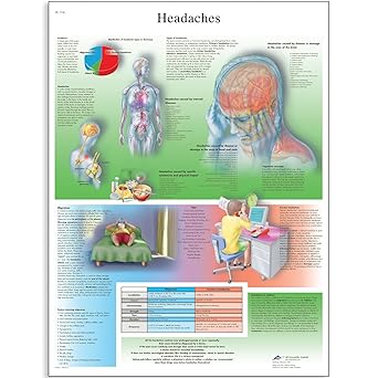 3B Scientific VR1714L Glossy UV Resistant Laminated Paper Headaches Anatomical Chart, Poster Size 20