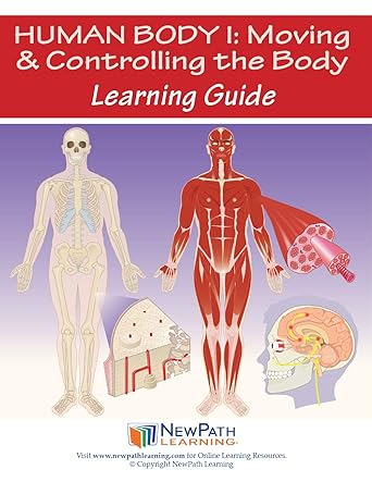 NewPath Learning 14-6781 Human Body 1: Moving and Controlling The Body Learning Guide (Pack of 10)