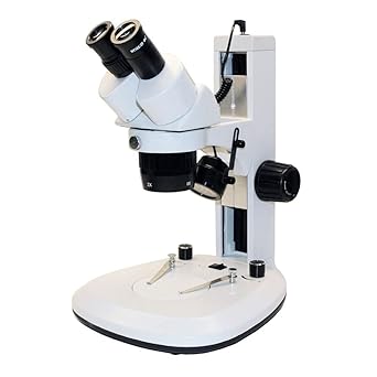 Walter Products QF-N-13 QF Series Microscope, Binocular, Stereo, 10X/30X LED, 110V