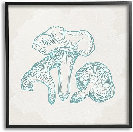 Stupell Industries Detailed Mushroom Specimen Botanicals Framed Wall Art, Design by Kim Allen