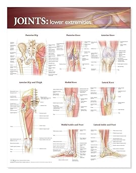 Joints: Lower Extremities