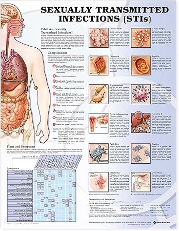 Sexually Transmitted Infections Anatomical Chart