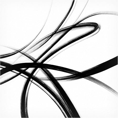 Trademark Fine Art 'Black Brush Strokes III' Canvas Art by Cora Niele