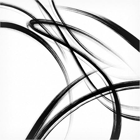 Trademark Fine Art 'Black Brush Strokes II' Canvas Art by Cora Niele