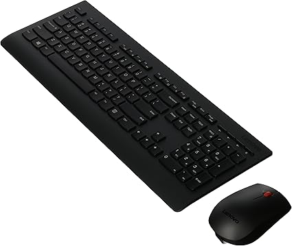 Lenovo Professional Wireless Keyboard and Mouse Combo, 2.4 GHz USB Wireless Receiver, Full Size Ambidextrous Mouse, 24 Month Battery Life, Black