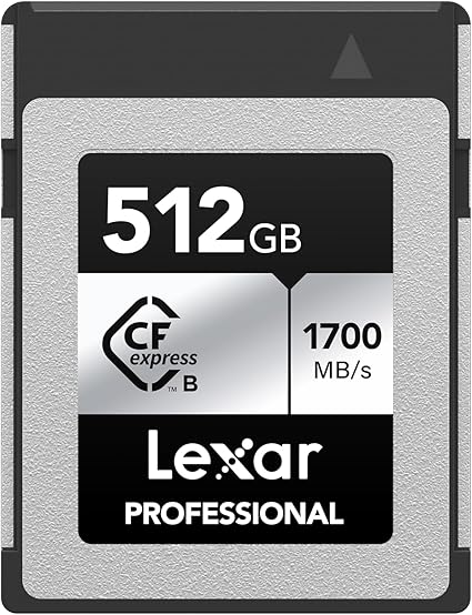 Lexar 512GB Professional Silver SE CFexpress Type B Memory Card, for Photographers, Videographers, Up to 1700/1250 MB/s, 8K Video (LCXEXSE512G-RNENU)