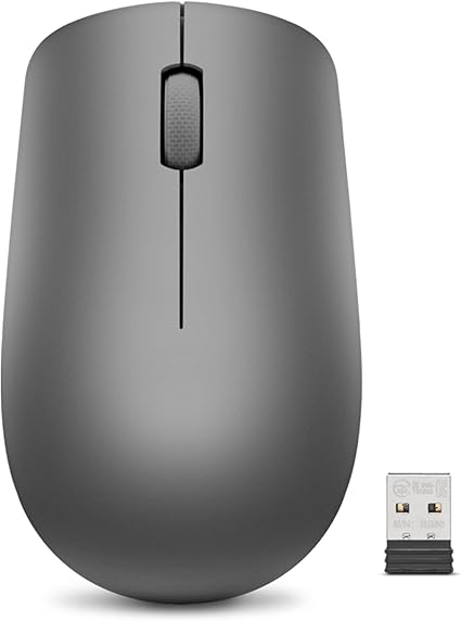 Lenovo 530 Full Size Wireless Computer Mouse for PC, Laptop, Computer with Windows - 2.4 GHz Nano USB Receiver - Ambidextrous Design - 12 Months Battery Life - Graphite Grey