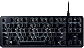 Razer BlackWidow Lite TKL Tenkeyless Mechanical Keyboard : Orange Key Switches - Tactile & Silent - White Individual Key Lighting - Compact Design - Detachable Cable - Classic Black