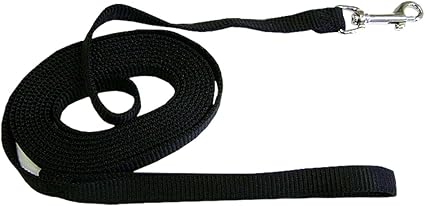 Hamilton Pet & Equine Hamilton Nylon Dog Training Lead, 5/8 by 10-Inch, Black