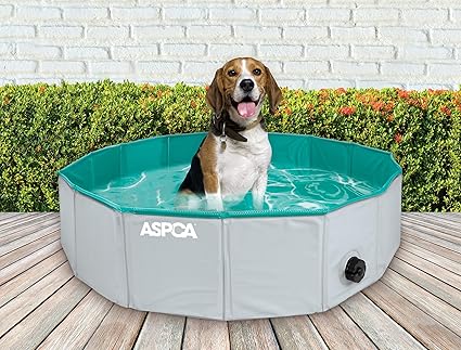 ASPCA Foldable Dog Pet Bath Pool Collapsible Pool Bathing Tub for Dogs & Cats