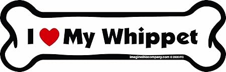 Bone Car Magnet, I Love My Whippet, 2-Inch by 7-Inch