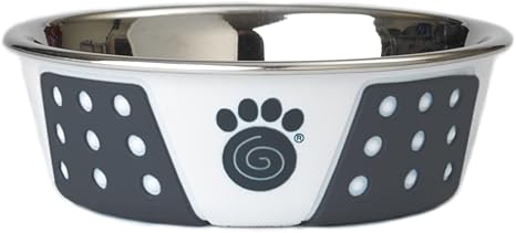 PetRageous 15000 Fiji Stainless Steel Non-Slip Dishwasher Safe Dog Bowl 1.75-Cup Capacity 5.5-inch Diameter 1.75-inch Tall for Small and Medium Size Dogs and Cats, White and Slate Blue