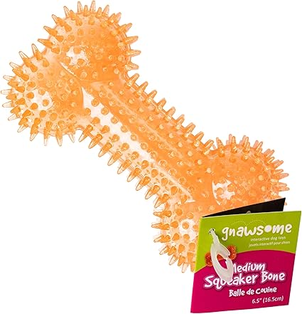 Gnawsome Dog Toys - 6.5” Spiky Squeaker Bone - Medium - Dental & Gum Wellness - Stimulating Fun - Hidden Squeaker - Durable for Heavy Chewers - 100% BPA-Free - Assorted Colors