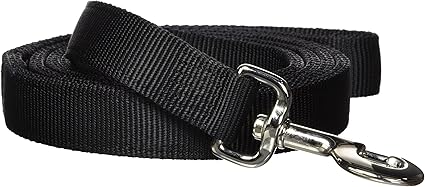 Hamilton Double Thick Nylon Dog Training Lead, 1-Inch by 6-Feet, Black