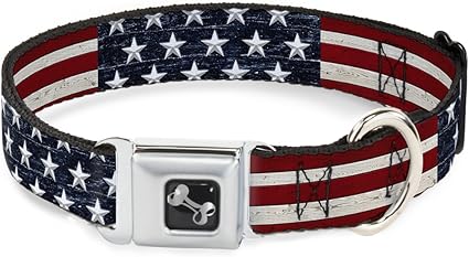 Buckle-Down Dog Collar Seatbelt Buckle Americana Rustic Stars Stripes 9 to 15 Inches 1.0 Inch Wide