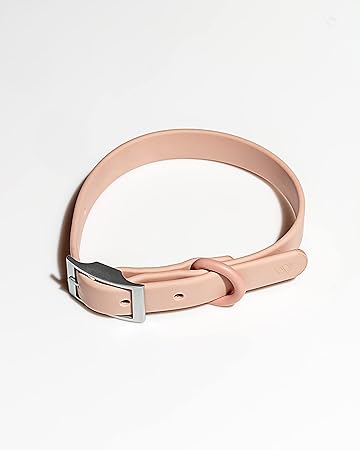 Wild One Collar - X Large Pink