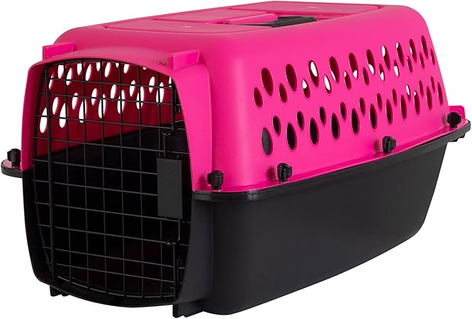 Petmate Pet Porter Fashion Dog Kennel 23