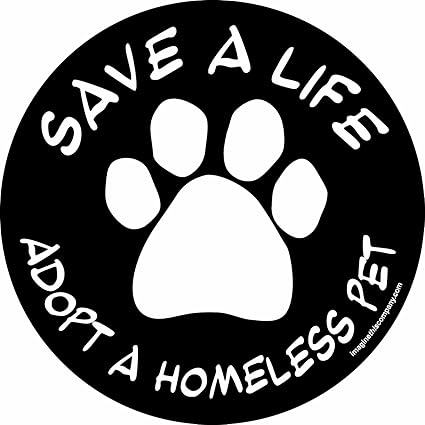 4-3/4-Inch by 4-3/4-Inch Car Magnet Social Issues Circle, Adopt a Homeless Pet, Black