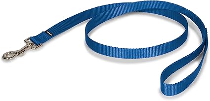 PetSafe Nylon Dog Leash - Strong, Durable, Traditional Style Leash with Easy to Use Bolt Snap - 3/4 in. x 4 ft., Royal Blue