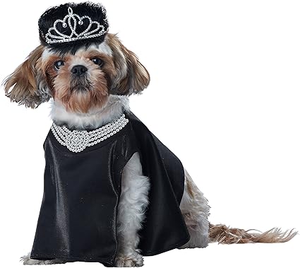 CALIFORNIA COSTUME COLLECTIONS Pet BARKFEST AT SNIFFANY'S Dog Costumes, Black, Small US