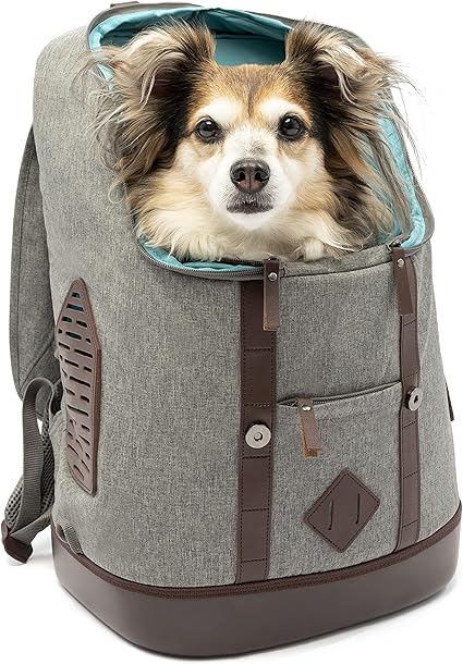 Kurgo Dog Carrier Backpack for Small Pets - Dogs & Cats | TSA Airline Approved | Cat | Hiking or Travel | Waterproof Bottom | G-Train | Ruck Sack | Heather Grey