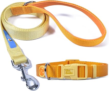 The Dodo All Nylon Yellow Collar and Leash Set - Large; Matching Cute Leash and Collar Set; Waterproof Dog Leash and Collar Set, Perfect for Beach Day or Trips to The Lake