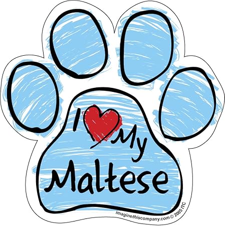 Scribble Paw Magnet, Maltese