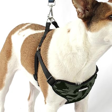 No Pull Dog Harness Step in Adjustable Vest Harness with Quick-Release Buckle & Dual Ring Attachment for All Breeds - Small - Green