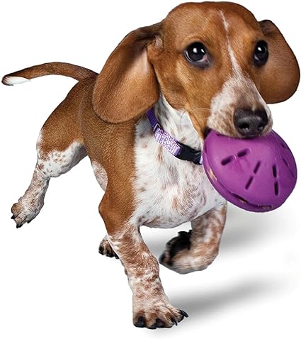 PetSafe Busy Buddy Twist 'n Treat Dispensing Dog Toy - Small