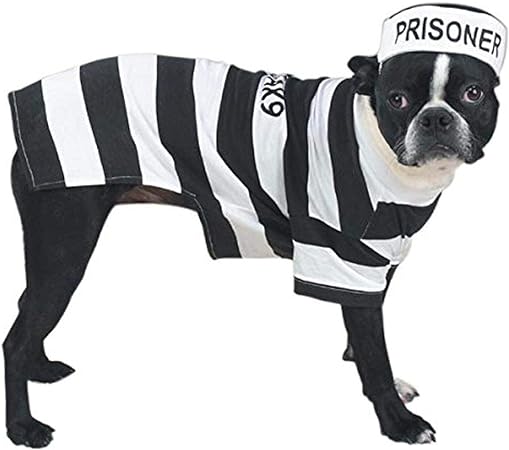 Prison Pooch Costume for Dogs, 24