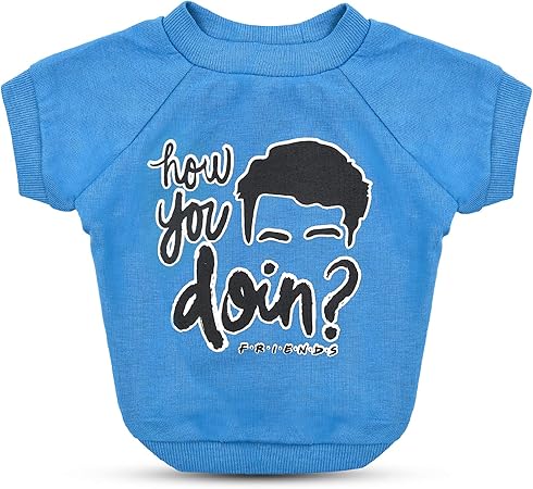 How You Doin Dog T Shirt in Blue | Soft Dog Shirt, Machine Washable Pull-Over Dog Tshirt, Light Weight & Semi-Stretch | Size Small for All Small Dogs and Puppies